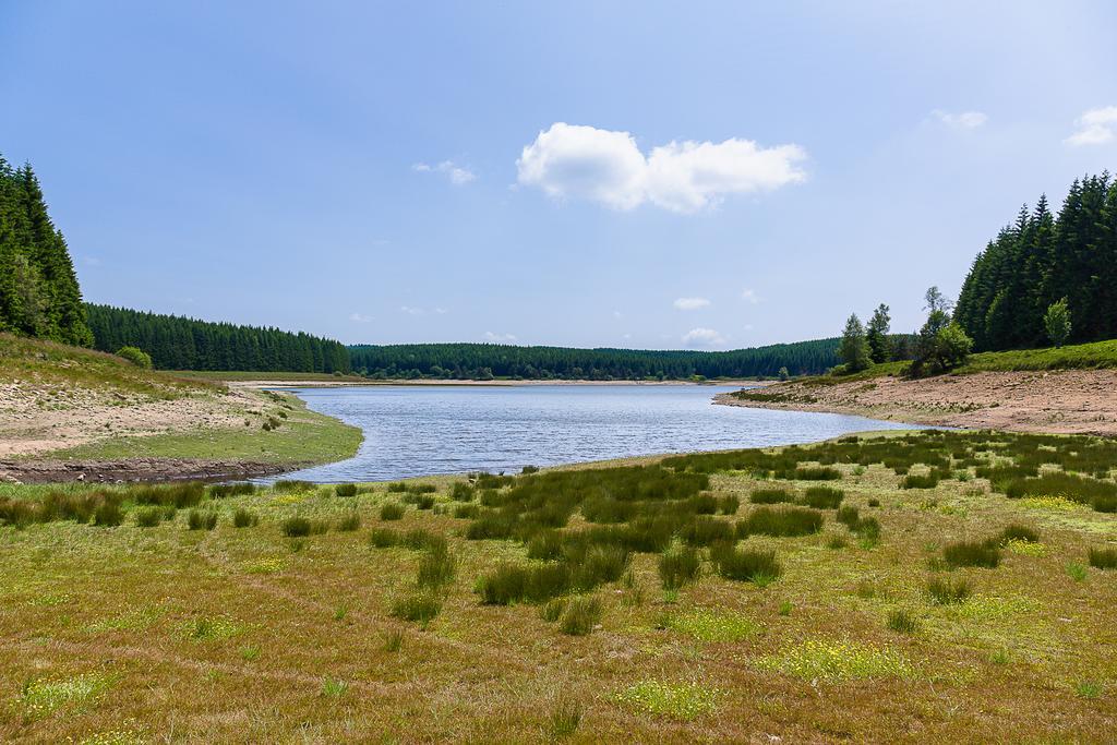 Le Jas Du Mas Hotel Saint-Anthème Kültér fotó